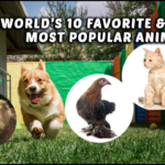 Top 10 Most Searched Animals and Why They Fascinate Us