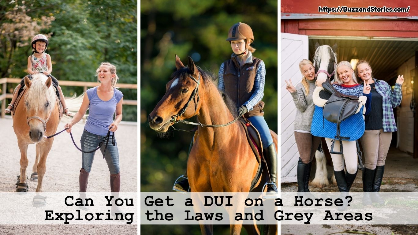 Can You Get a DUI on a Horse? Exploring the Laws and Grey Areas