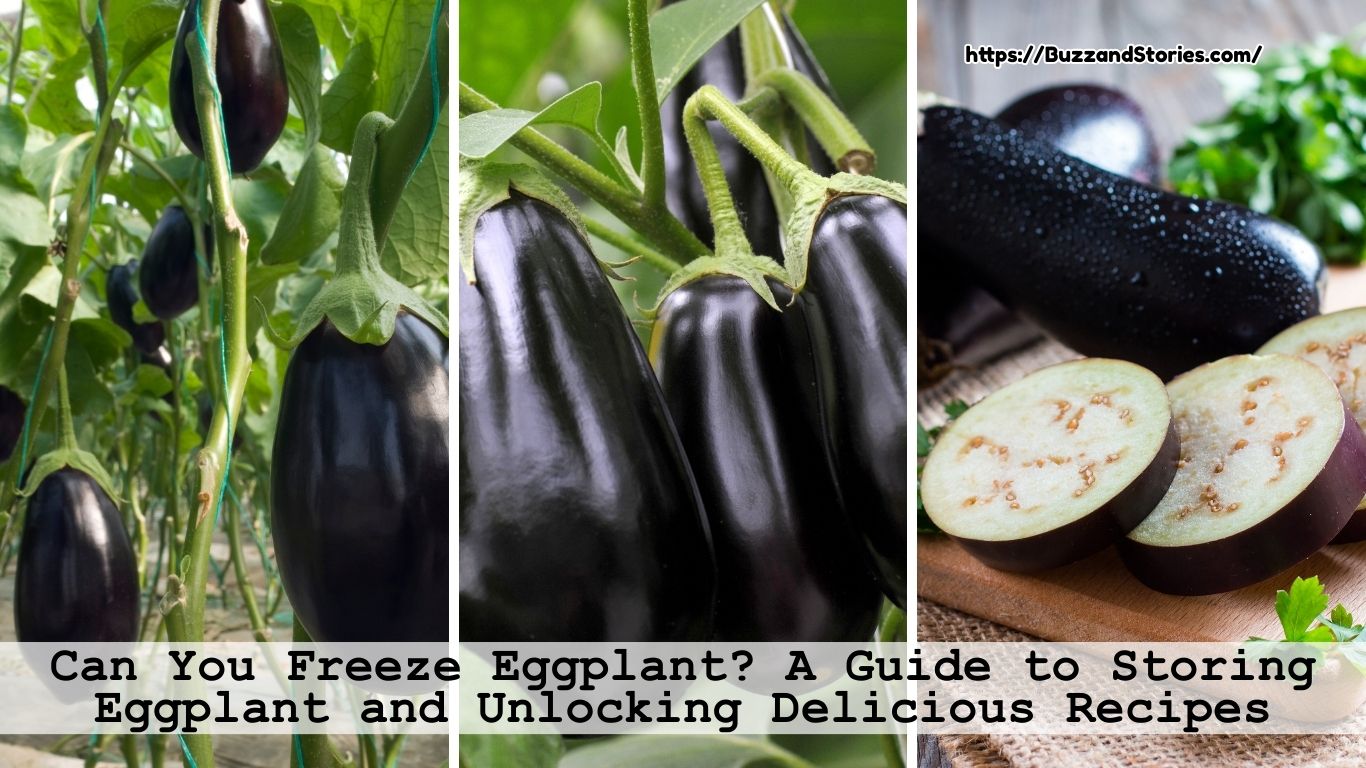 Can You Freeze Eggplant? A Guide to Storing Eggplant and Unlocking Delicious Recipes