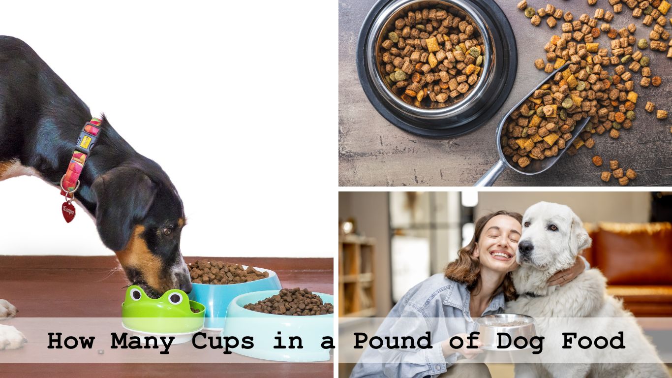 How Many Cups in a Pound of Dog Food